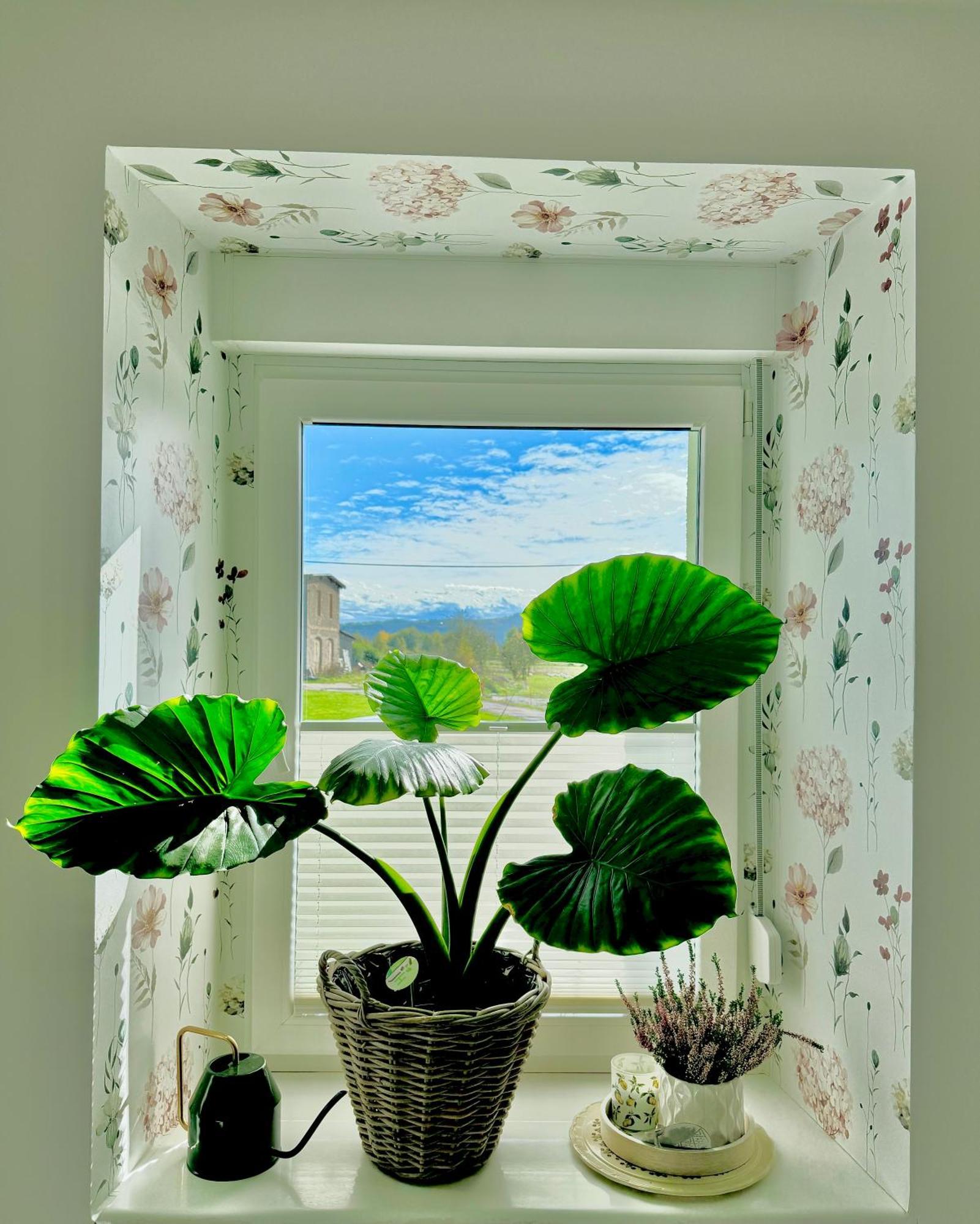 Viridi Appartement Radomierz Buitenkant foto