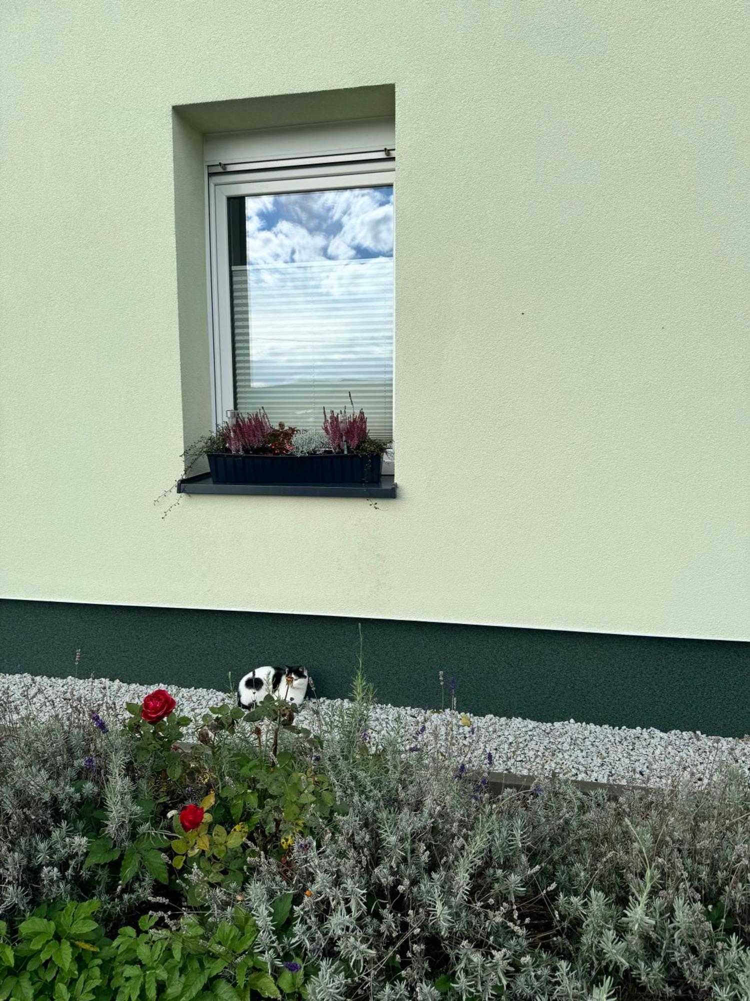 Viridi Appartement Radomierz Buitenkant foto